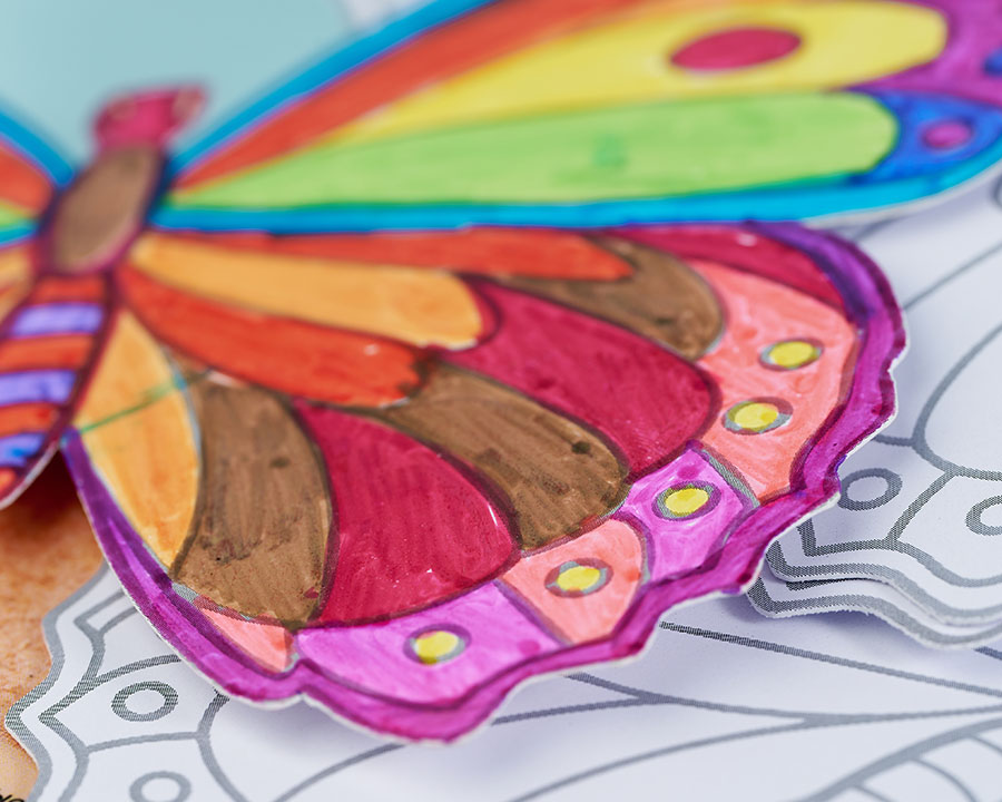 Раскраски для девочек Бабочка